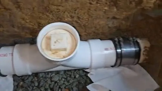 White PVC sewer cleanout tee with its cap removed, set in the ground