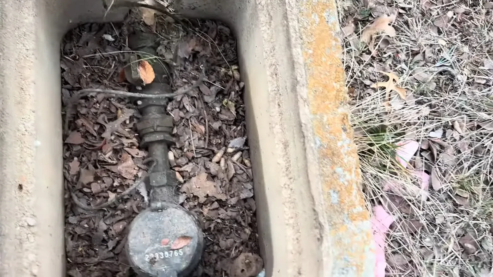 Water meter sitting inside a concrete ground box packed with dry leaves